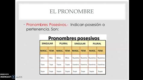 Los Pronombres Les Pronoms Contraste De Pronombres Posesivos Hot Sex