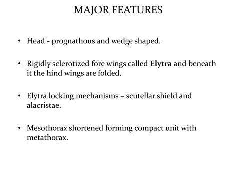 Classification of insects | PPT