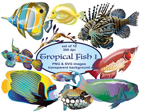 Tropical Fish Clip Art Animal Clip Art Ocean Clip Art - Etsy