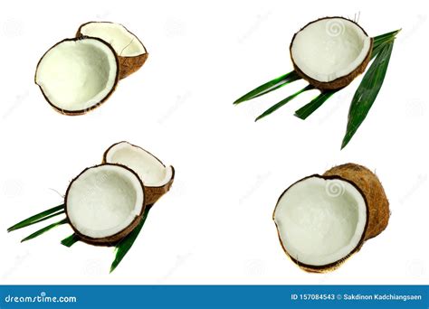 Coconut cut half stock image. Image of isolate, shell - 157084543