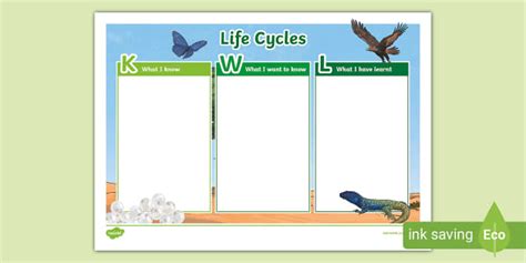 Life Cycles Topic Kwl Grid Professor Feito Twinkl