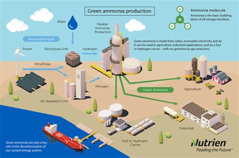 Nutrien And Exmar Partner Up To Build An Ammonia Powered Vessel