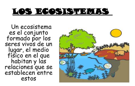 Maestro San Blas Ecosistemas