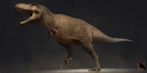 Artstation Tyrannosaurus Rex 3d Model