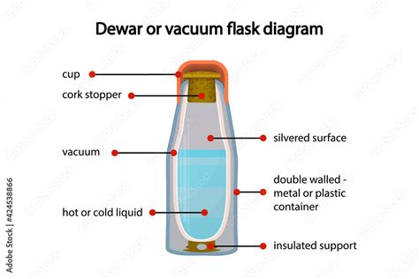 Dewar or vacuum flask fully diagram isolated on white background. Cross ...