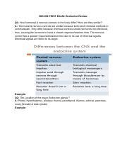 First Exam Endocrine System Docx BIO 202 FIRST EXAM Endocrine