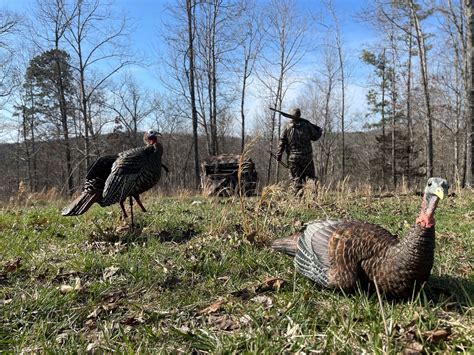 3 Tips For Early Season Turkey Hunting Success – Muddy Outdoors