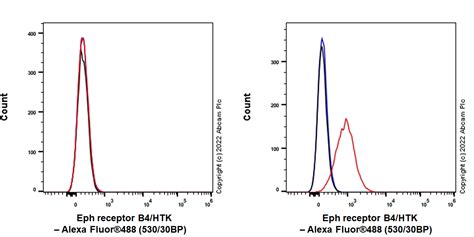 Anti Eph Receptor B4 HTK Antibody EPR23222 2 BSA And Azide Free