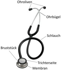 Stethoskope Richtig Verwenden Lehmanns De