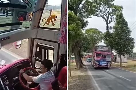 Viral Video Bus Lakukan Aksi Oleng Berbahaya Di Kuningan Polisi