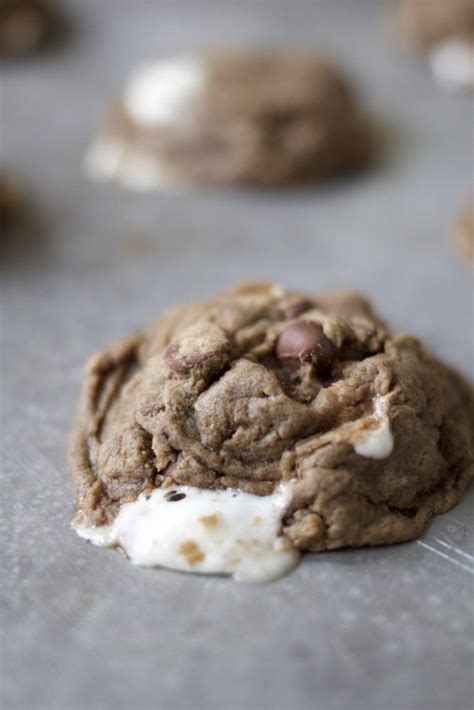 Double Chocolate Chewy Marshmallow Cookies Recipe Marshmallow