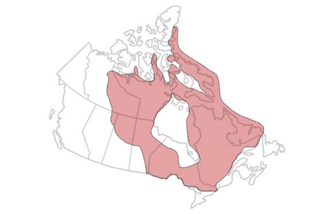 The Canadian Shield - Our Planet Today