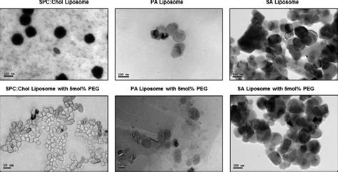 Characterization Of Various Formulations Of Liposomes Using Download Scientific Diagram