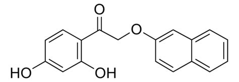 2 羟基萘 Sigma Aldrich