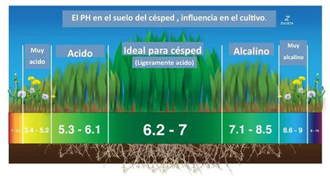 Suelos Caracter Sticas Clasificaci N Tipos Y Mucho M S