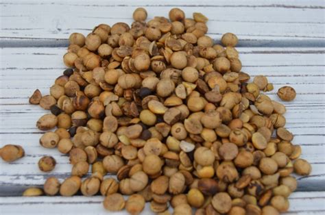 Whole Roasted Soybeans 50 Lb