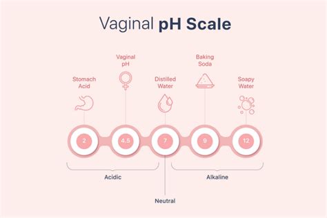 Normal Vaginal Ph How To Test Balance And Restore 47 Off