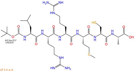 六肽Boc Leu Arg Arg Met Cys Ala Boc Leu Arg Arg Met Cys Ala OH Boc LRRMCA