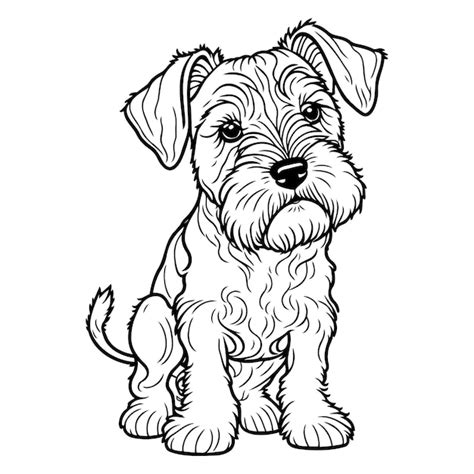 Dibujos De Perro Schnauzer Para Colorear Vsun