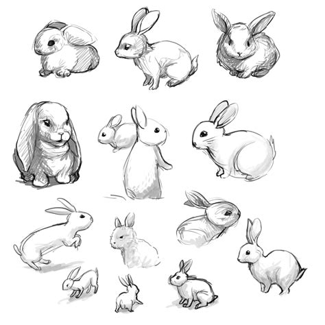 Sketched some cute bunnies the other day! : r/Sketch