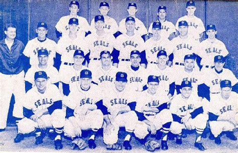 An Overview Of The San Francisco Seals