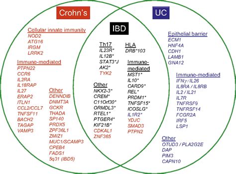 New Ibd Genetics Common Pathways With Other Diseases Gut