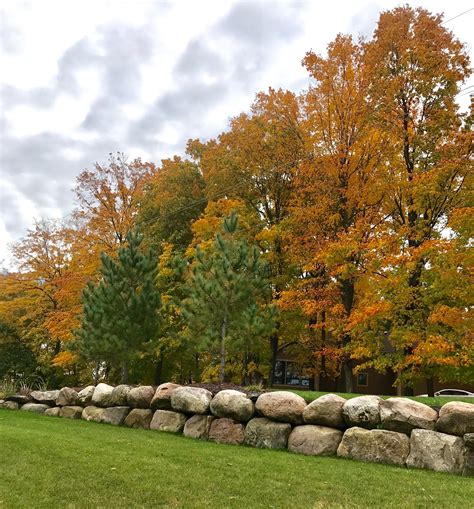 Sidewalk Structures Fall Nature Autumn Naturaleza Fall Season