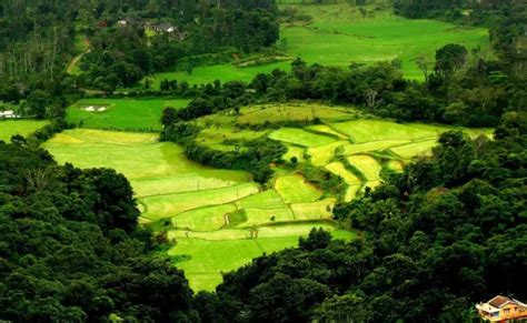 Coorg Sightseeing Tour N Days Coorg Travel Package