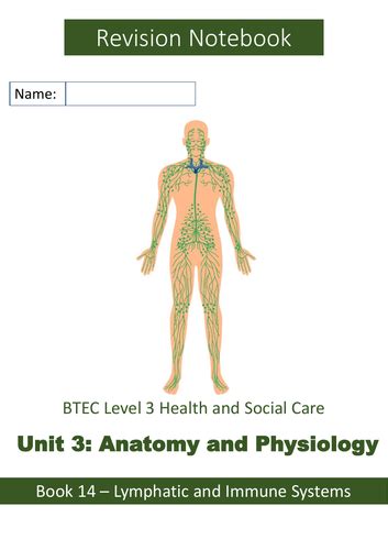 Btec Health And Social Care Unit 3 Lymphatic System Illustrated Notebook Teaching Resources