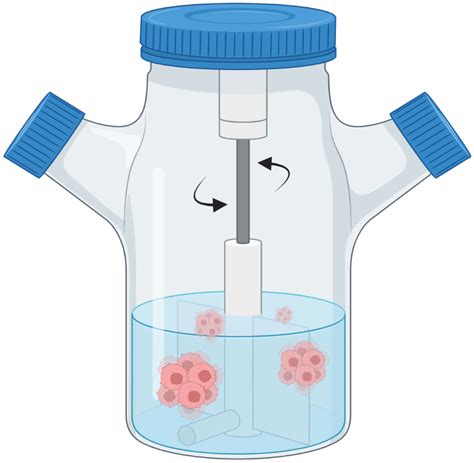 Spinner Flask Dynamic Cell Culture Download Scientific Diagram