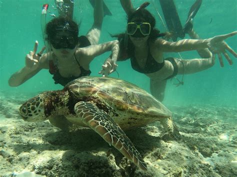 【旅行記】3泊4日のセブ島女子旅！ ツアーやホテルなど｜いしかわゆき（ゆぴ） Adhdフリーランス 発売中！