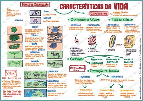 Mapa Mental Classificação Dos Seres Vivos - NAZAEDU