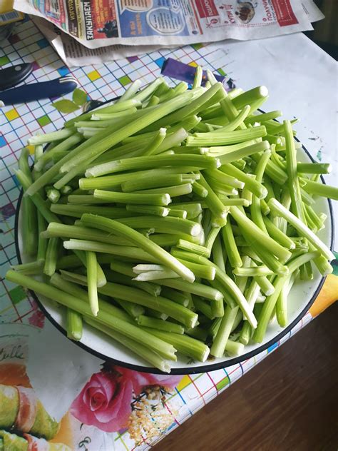 Кислятка - горная трава | Пикабу