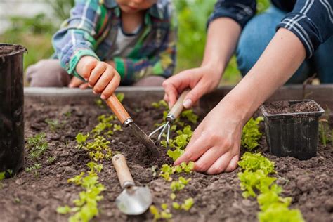 Jardiner En Mars Que Semer Ou Planter Au Potager