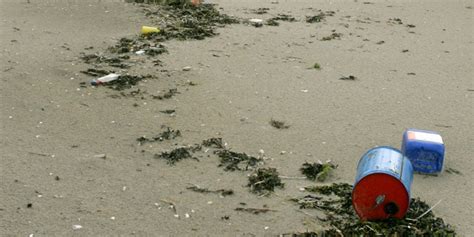 Abfall In Nord Und Ostsee Planschen Im Plastik Meer Taz De