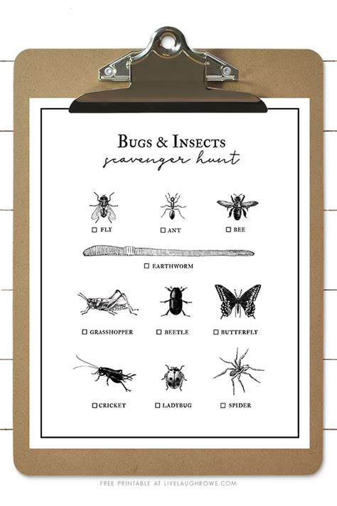 Bug Scavenger Hunt Free Printable