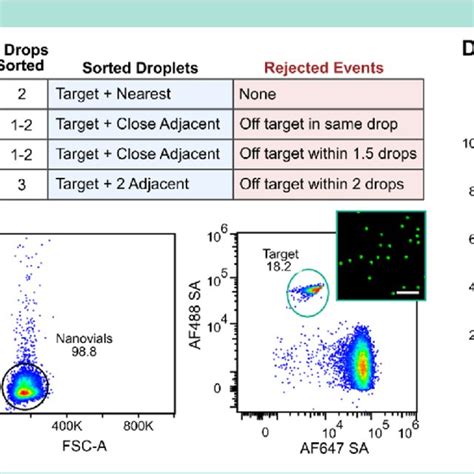 Optimized Nanovial Sorting Parameters On The Sony Sh800 A An Download Scientific Diagram