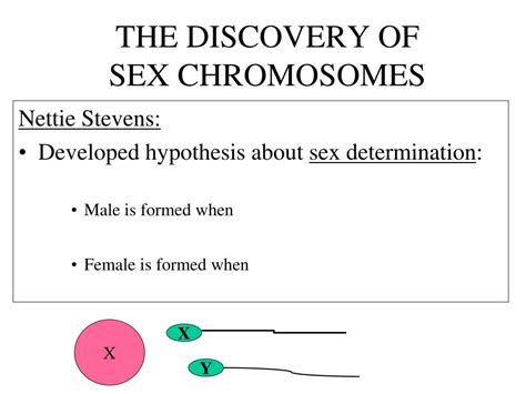 Ppt Post Mendelian Genetics Powerpoint Presentation Free Download