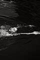 Beyonce Does An Epic Bikini Photo Shoot For Flaunt Magazine Photo 3455821 Beyonce Knowles