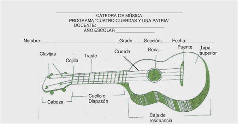 EducaciÓn Y Cultura IdentificaciÓn De Las Partes Del Cuatro