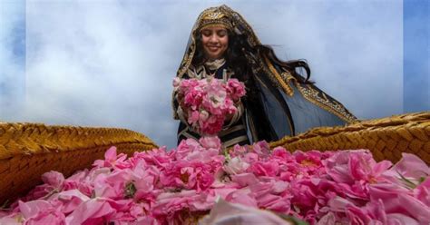 The Taif Rose Festival Is Back For 2024