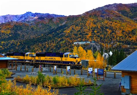 Train from Denali National Park to Anchorage via Denali Star Train ...