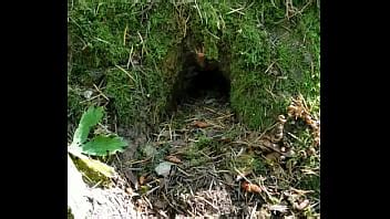 Outdoor Porn By Max Shenanigans XVIDEOS