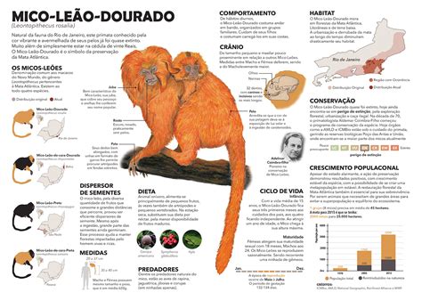 Infographic I Mico Le O Dourado On Behance