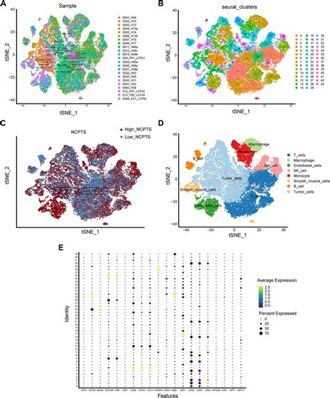 Frontiers A Necroptosis Related Prognostic Model For Predicting