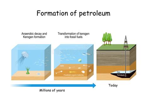 Oil Formation Animation