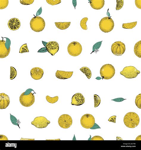 Seamless Pattern Of Hand Drawn Oranges And Slices In Sketch Style