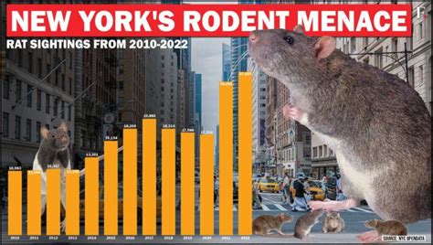 Pest Control New York City Gets Its First Rat Czar For 155 000 A Year