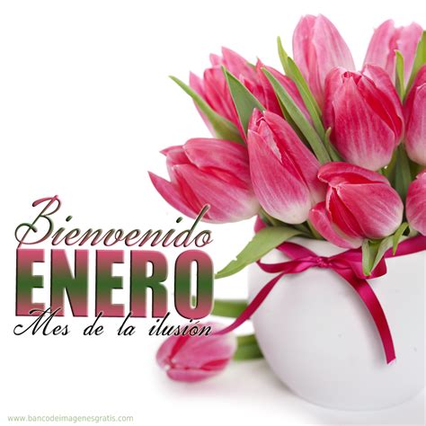 Imagenes Con Flores Para Dar La Bienvenida A Enero Hola Enero Citas