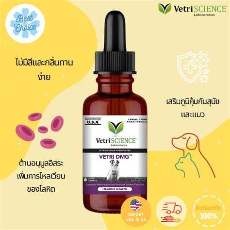 Vetri ถูกที่สุด พร้อมโปรโมชั่น พ.ย. 2023|BigGoเช็คราคาง่ายๆ